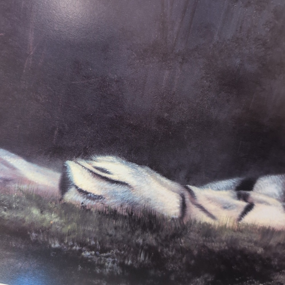 Sonia Torres Limited Edition,‎ Numbered, Signed White Tiger Artist's Print - Picture 4 of 8